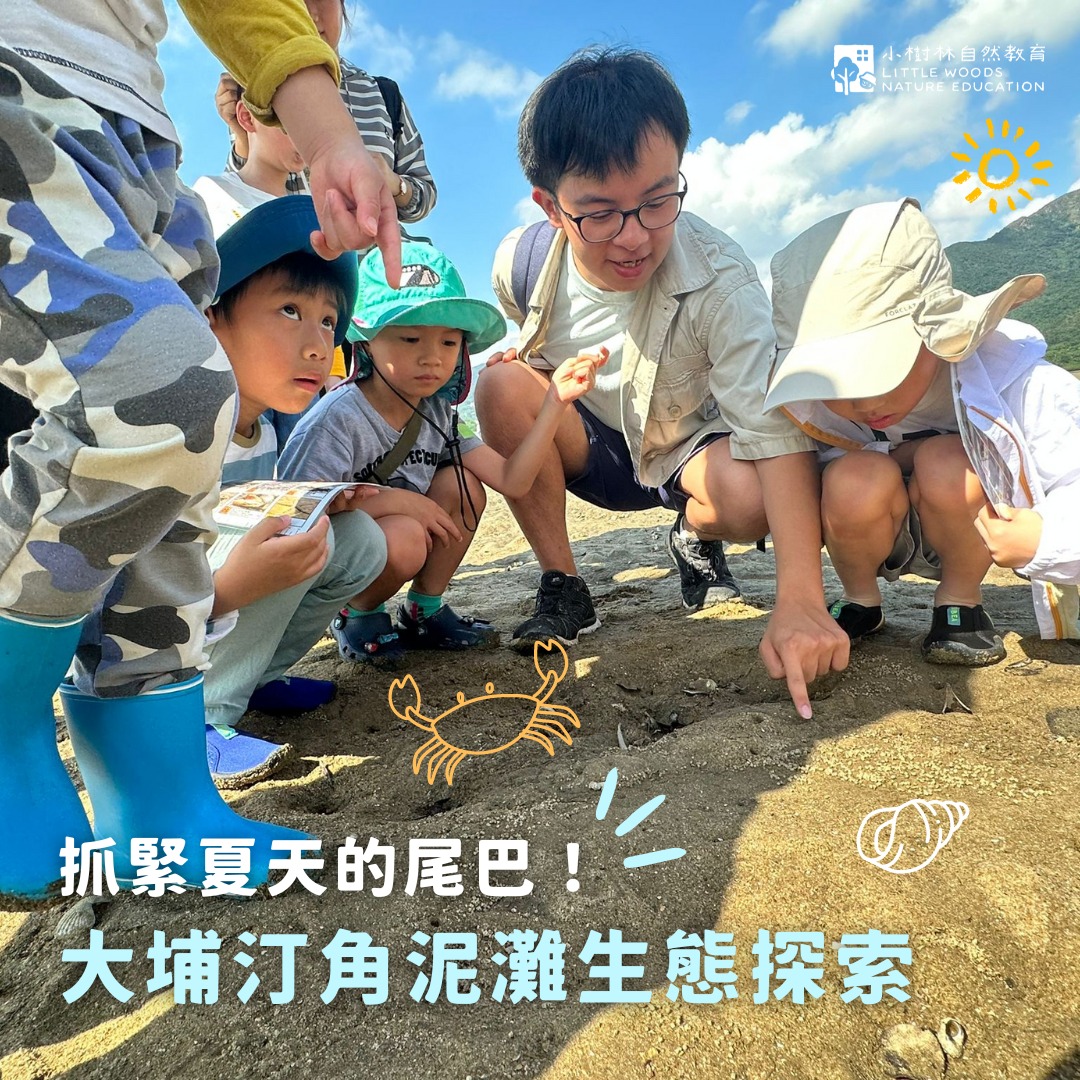 小樹林自然教育的週末親子戶外生態導賞團
