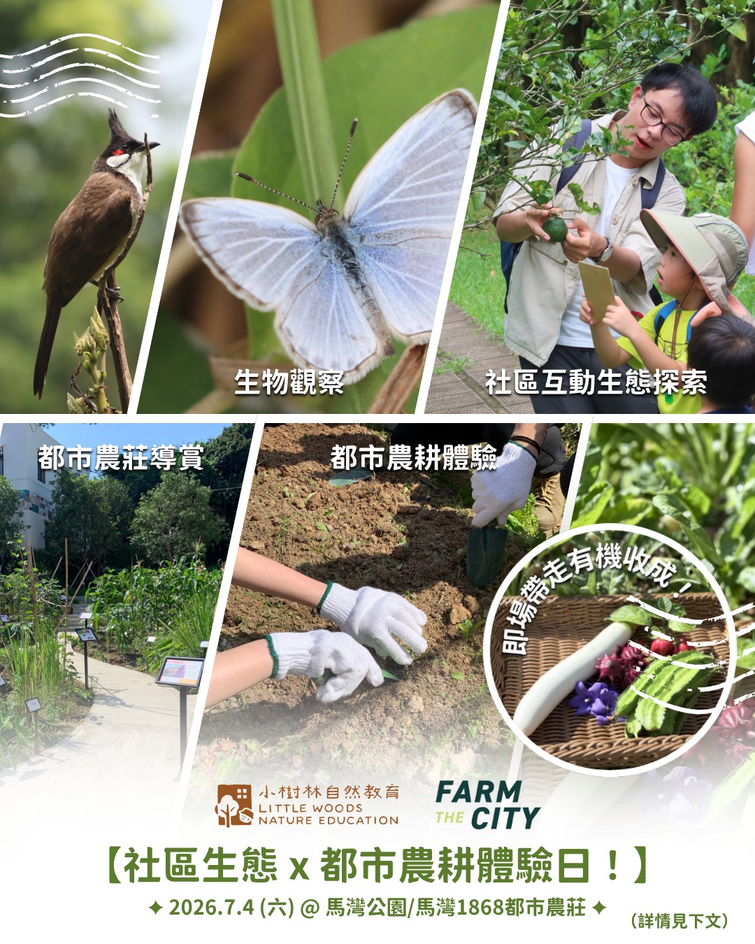 喚醒感官的自然教育與環境教育