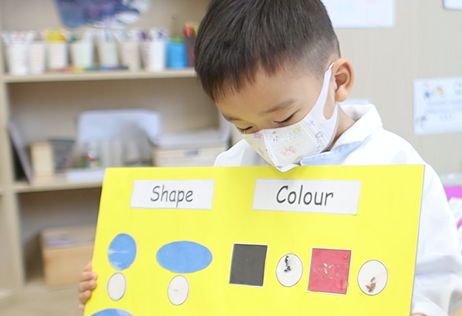 Stemtitute 思迪教育科技的幼兒科學課程